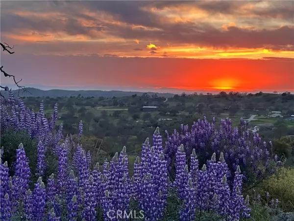 Raymond, CA 93653,0 Spinecup Ridge