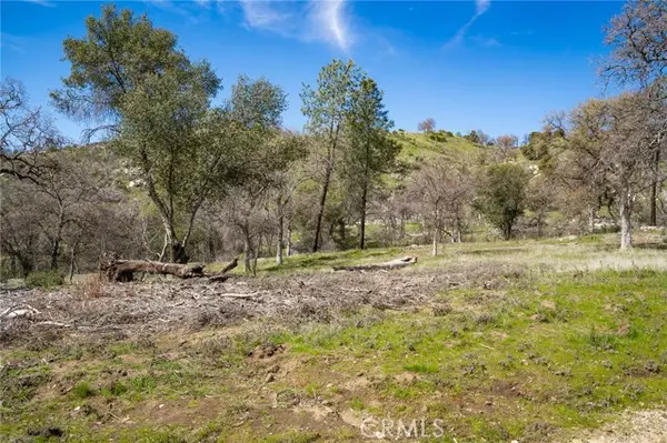 Mariposa, CA 95338,3831 Broncho Hollow Lane