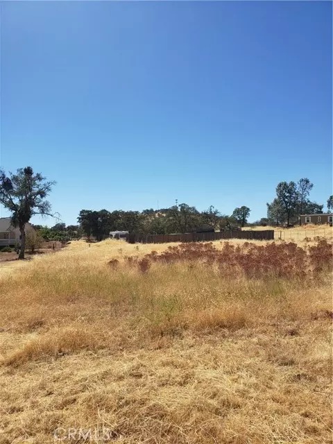 2990 Cadena Way, Coulterville, CA 95311