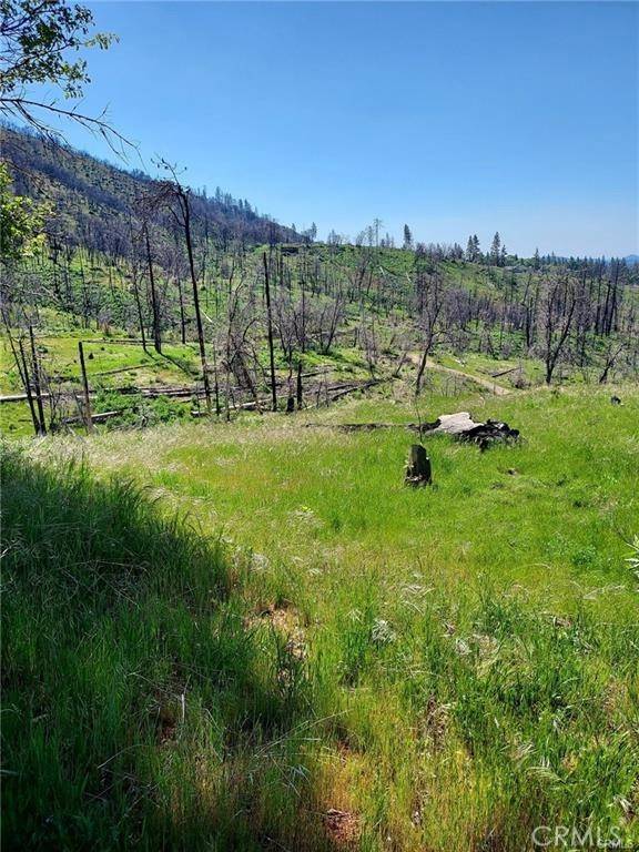 Mariposa, CA 95338,3109 Wild Dove Lane