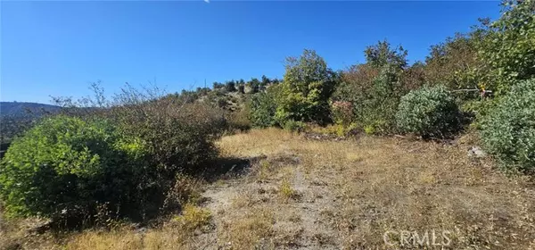 Oroville, CA 95965,13495 Concow Road