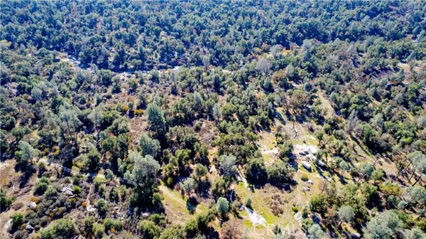 Mariposa, CA 95338,4658 Little Bear