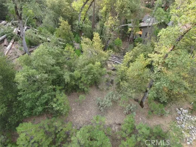 Bass Lake, CA 93604,50 Dogwood Creek Drive