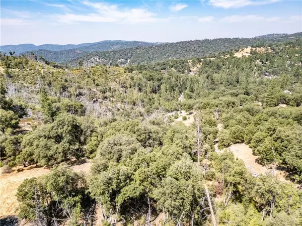 Mariposa, CA 95338,5 AC Parker Drive