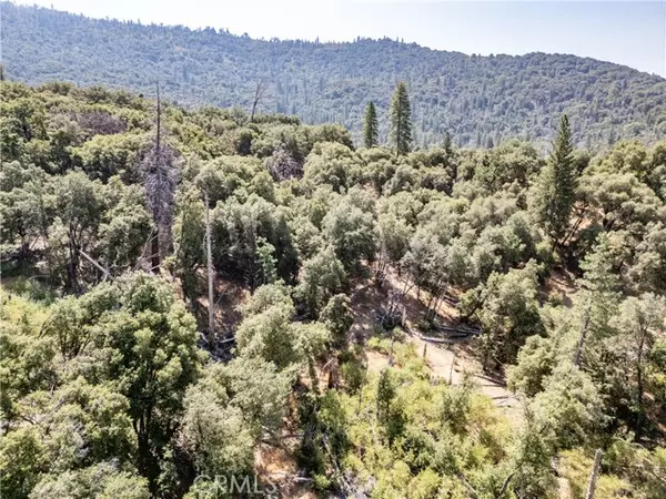 Mariposa, CA 95338,5 AC Parker Drive