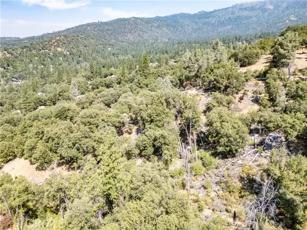 Mariposa, CA 95338,5 AC Parker Drive