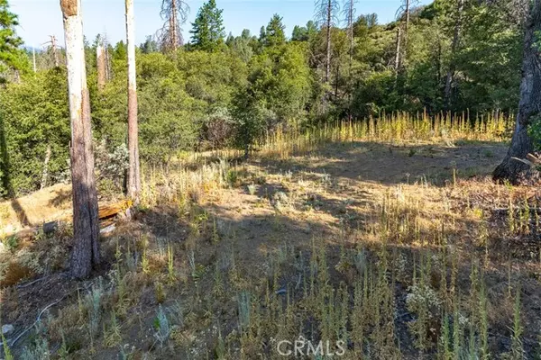 Mariposa, CA 95338,0 Vista Lago Ln. Lot #15