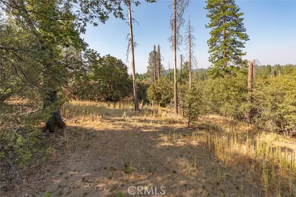 Mariposa, CA 95338,0 Vista Lago Ln. Lot #15