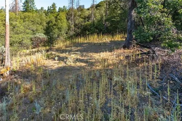 Mariposa, CA 95338,0 Vista Lago Ln. Lot #15