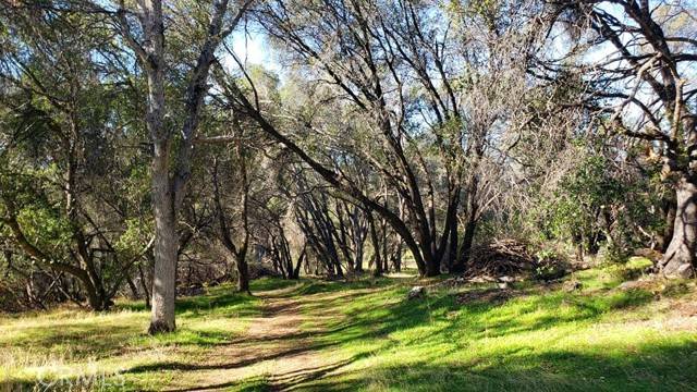 Mariposa, CA 95338,0 unassigned Boyer Road