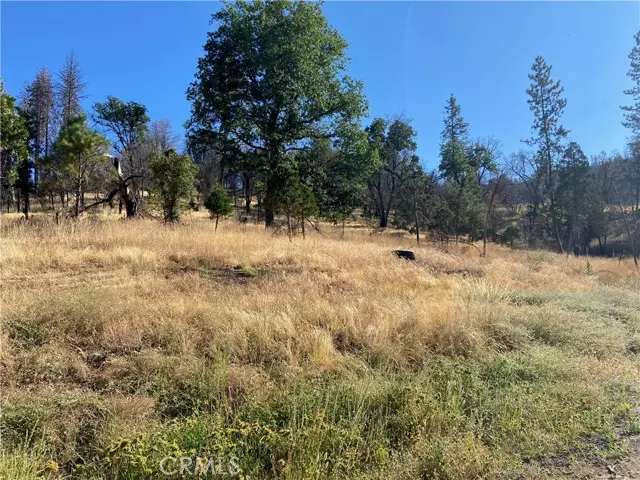 3154 Wild Dove Lane, Mariposa, CA 95338