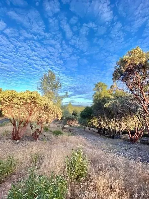 Mariposa, CA 95338,5 Vista Lago