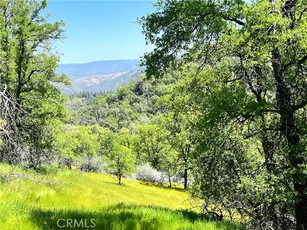 Mariposa, CA 95338,0 Lakeside Drive