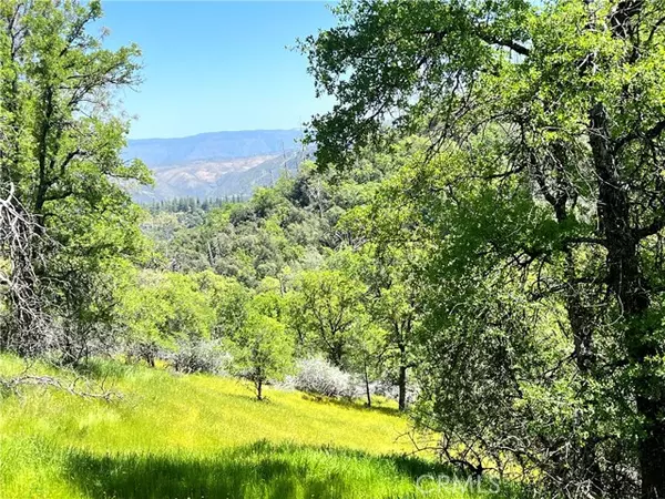 Mariposa, CA 95338,0 Lakeside Drive