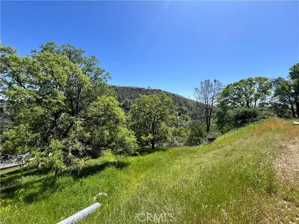 Mariposa, CA 95338,0 Lakeside Drive