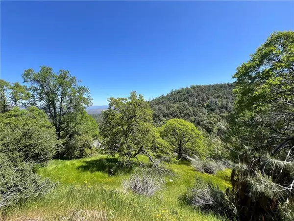 Mariposa, CA 95338,0 Lakeside Drive