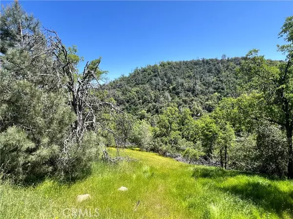 0 Lakeside Drive, Mariposa, CA 95338