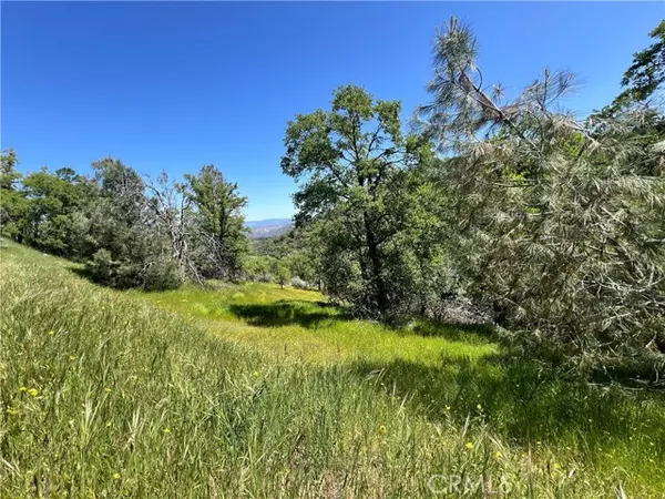 Mariposa, CA 95338,0 Lakeside Drive