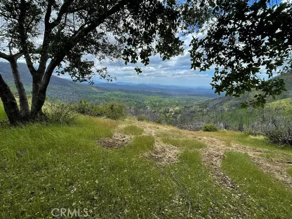 Mariposa, CA 95338,4585 Buckingham Mountain Road