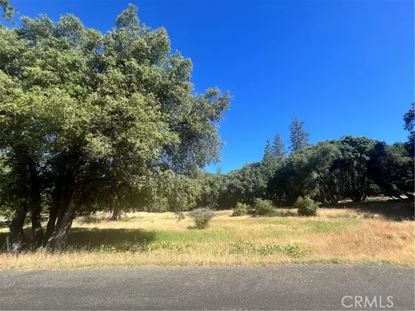 Mariposa, CA 95338,6065 Monte Vista Lane