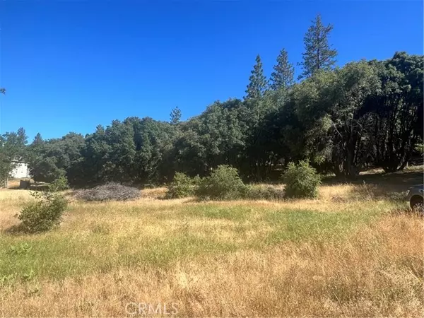 6065 Monte Vista Lane, Mariposa, CA 95338