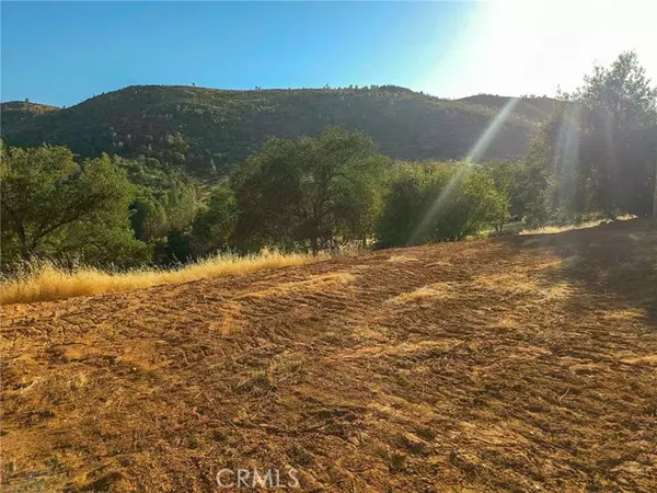 Mariposa, CA 95338,0 Terrace View