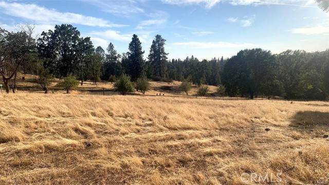 Mariposa, CA 95338,5644 Sierra Meadows Lane