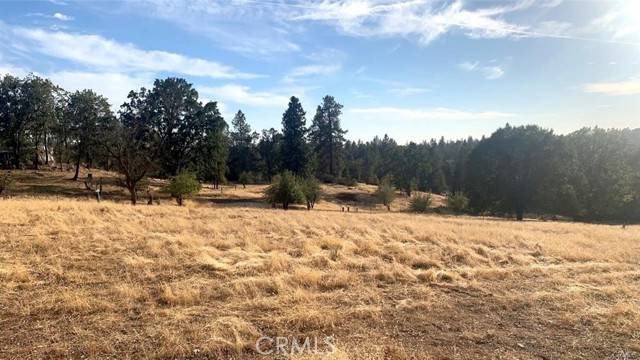 Mariposa, CA 95338,5644 Sierra Meadows Lane