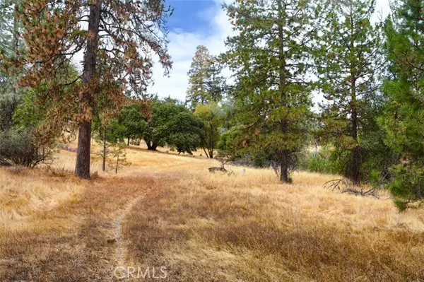 Mariposa, CA 95338,4959 Sierra Pines Drive