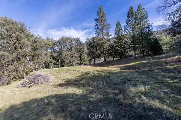 Mariposa, CA 95338,0 Nutter Ranch