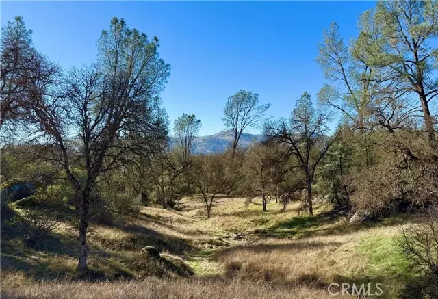 Mariposa, CA 95338,4541 Little Buck Court