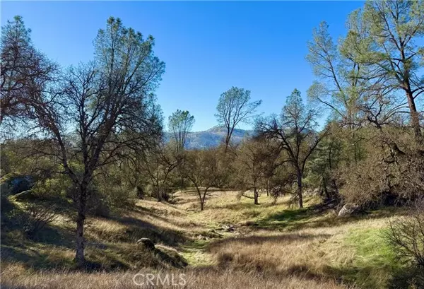 4541 Little Buck Court, Mariposa, CA 95338