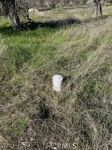 Catheys Valley, CA 95306,5 El Toro Road