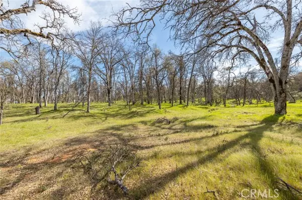 Mariposa, CA 95338,5328 E Whitlock Road