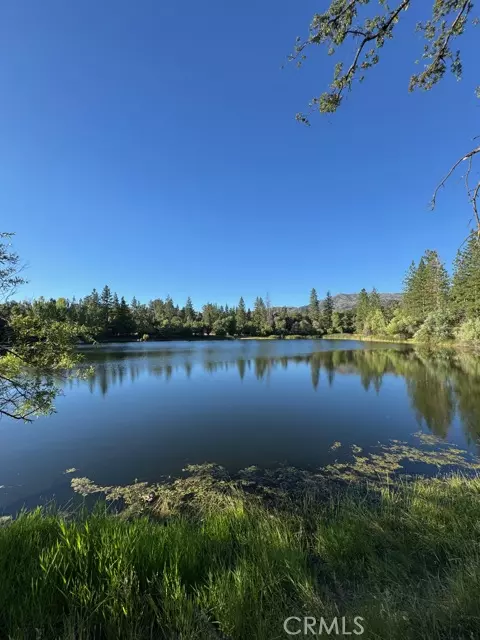 Mariposa, CA 95338,5615 Silver Strand Fall