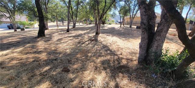 Mariposa, CA 95338,5277 Farfalla Circle