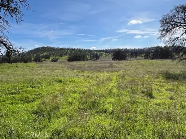Catheys Valley, CA 95306,2463 Old Highway