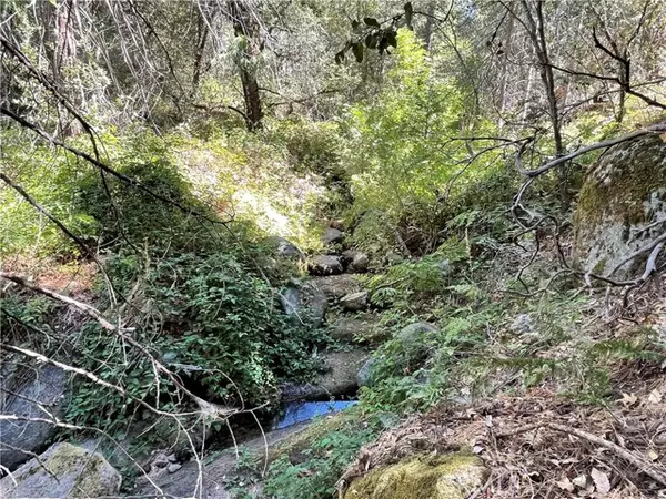 5699 Creel, Mariposa, CA 95338