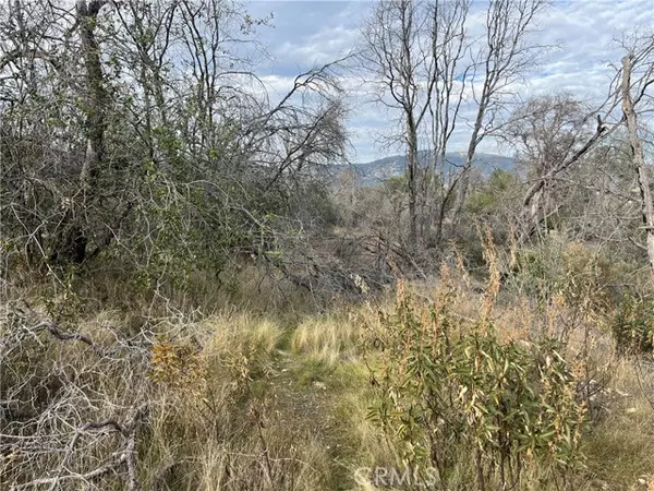 Catheys Valley, CA 95306,4934 Guadalupe Fire