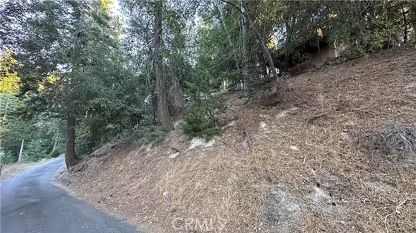 Twin Peaks, CA 92391,0 Mid Lane