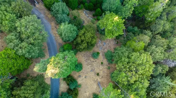 Cedarpines Park, CA 92322,0 Fir Street