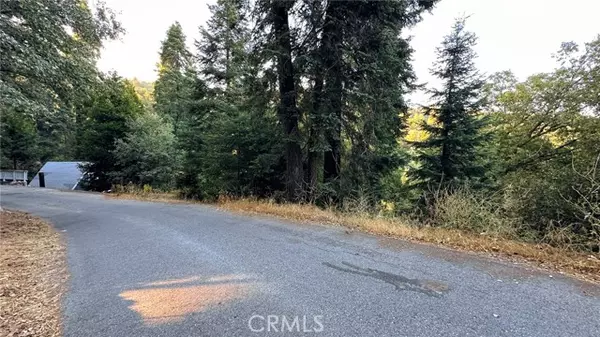 Cedarpines Park, CA 92322,0 Fir Street