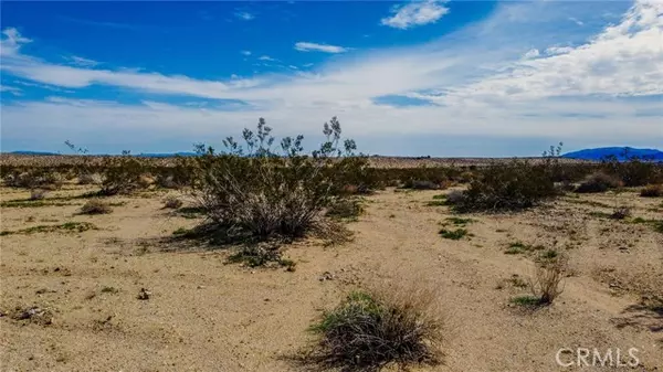 Joshua Tree, CA 92252,0 Sunny Sands Drive