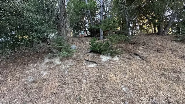 Twin Peaks, CA 92391,0 Mid Lane