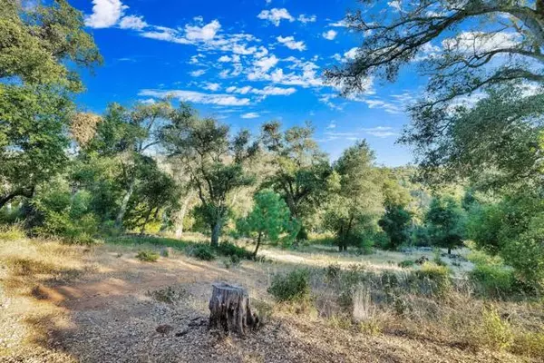 1077 W INCENSE CEDAR Road, Julian, CA 92036