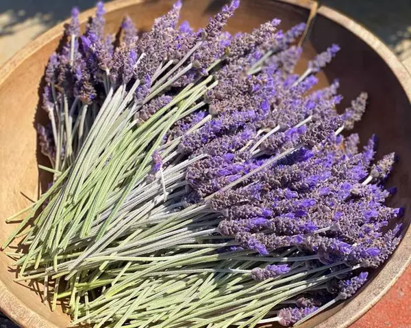 Lakeside, CA 92040,0 Muth Valley