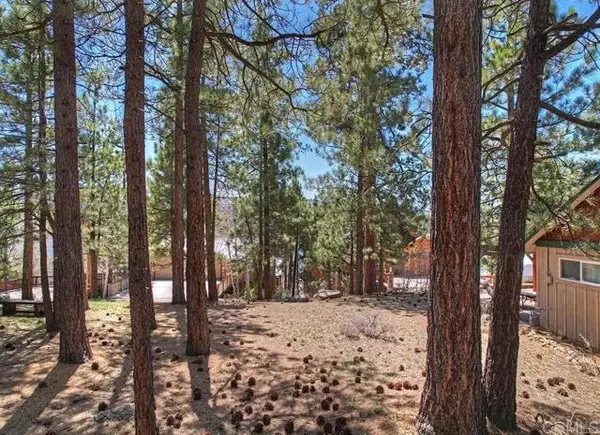 Big Bear City, CA 92315,39574 Lake Drive