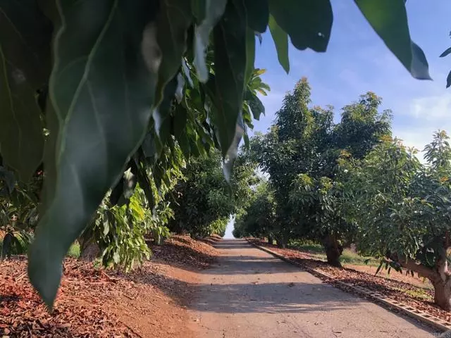 Fallbrook, CA 92028,1313 Rice Canyon Rd