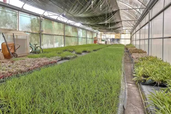 Fallbrook, CA 92028,2526 Rainbow Valley Boulevard