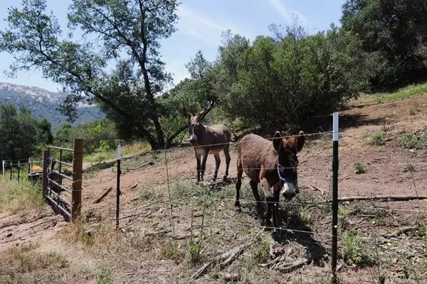 Temecula, CA 92590,0 Camino Estribo